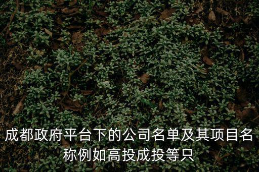 成都政府平臺下的公司名單及其項目名稱例如高投成投等只