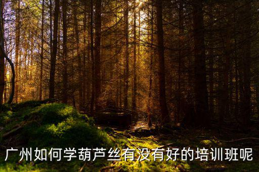 廣州如何學葫蘆絲有沒有好的培訓班呢