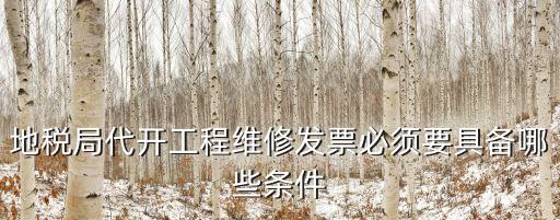 重慶市地方稅務局 發票 過期，稅務發票有過期嗎