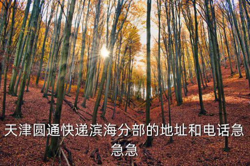 天津圓通快遞濱海分部的地址和電話急急急