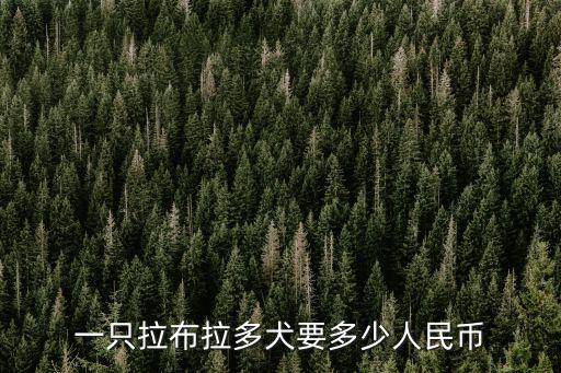 一只拉布拉多犬要多少人民幣