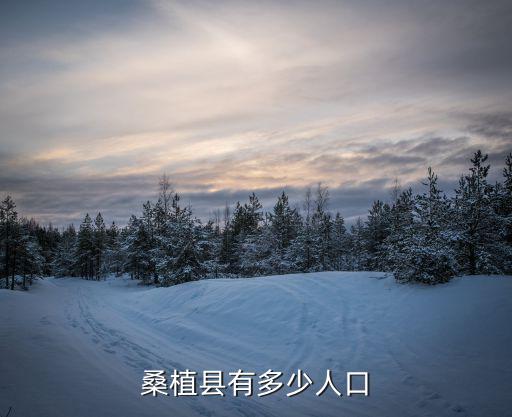 桑植縣有多少個叫劉苗的人，湖南桑植現(xiàn)在有多少人