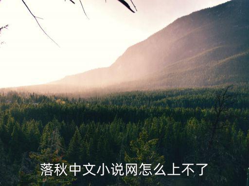 落秋中文小說網怎么上不了