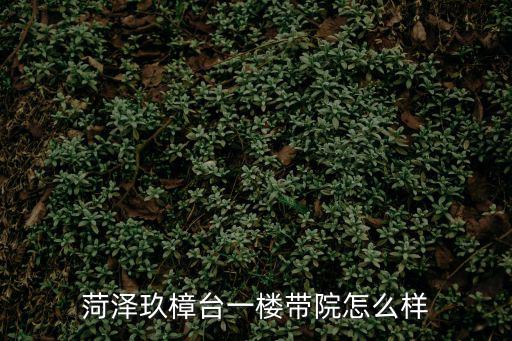 菏澤玖樟臺一樓帶院怎么樣