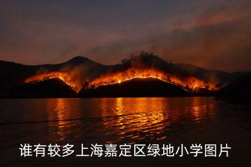 誰有較多上海嘉定區綠地小學圖片
