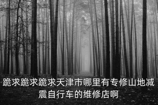 天津市哪里有專業(yè)修減震器的，誰知道天津哪有修zippo的