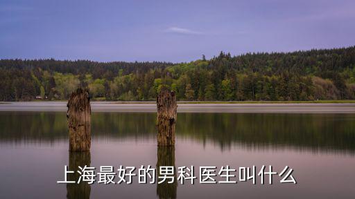 上海男科醫院排名第一的男科醫生，上海最好的男科醫生是哪個