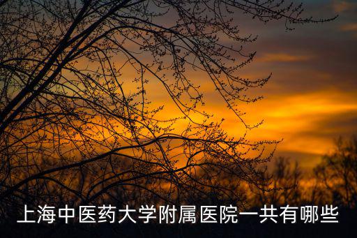 上海中醫藥大學附屬醫院一共有哪些