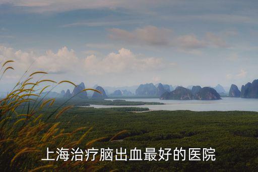 上海市上海華山能看腦出血后遺癥嗎，在上海哪家醫(yī)院看腦外傷后遺癥引起神經(jīng)痛更專業(yè)更有知名度呢百度知