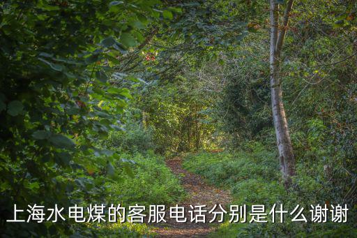 上海市電費客服電話，上海電力公司電話95598