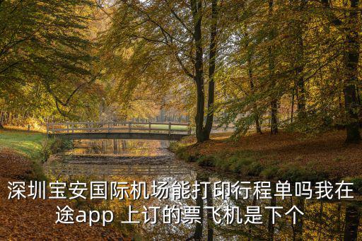 深圳寶安國際機(jī)場能打印行程單嗎我在途app 上訂的票飛機(jī)是下個