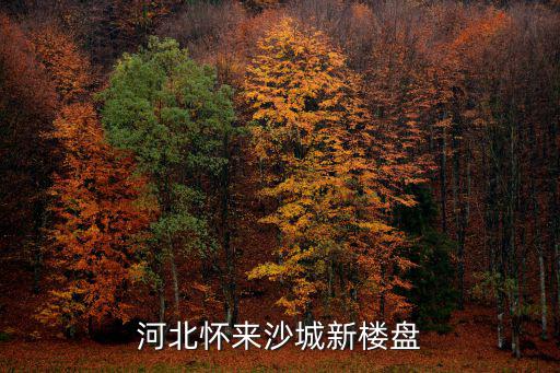 河北懷來沙城新樓盤