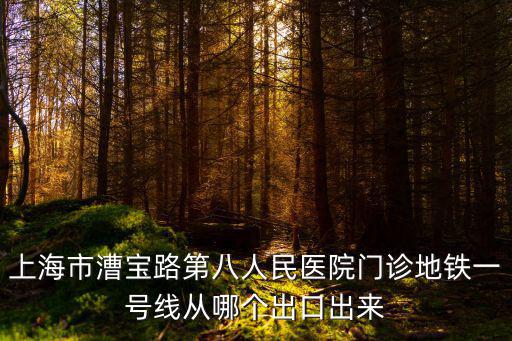 上海市第八人民醫院人民醫院，上海第八人民醫院在什么位置