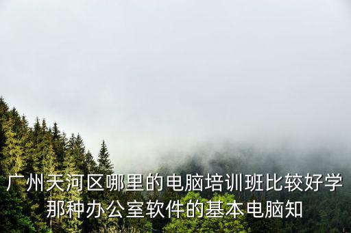 廣州天河區(qū)哪里的電腦培訓班比較好學那種辦公室軟件的基本電腦知