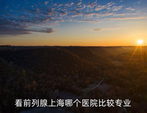 看前列腺上海哪個醫院比較專業