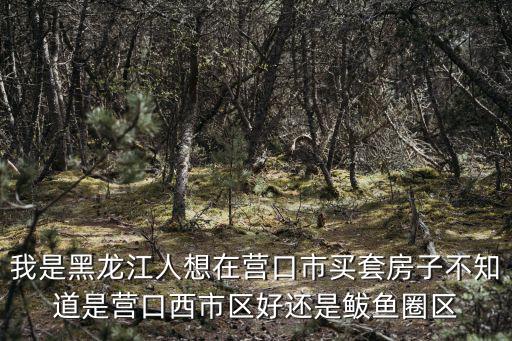 我是黑龍江人想在營口市買套房子不知道是營口西市區好還是鲅魚圈區