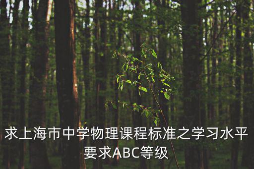 求上海市中學物理課程標準之學習水平要求ABC等級
