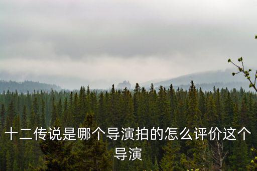 上海市四川遂寧商會 張丹，十二傳說是哪個導演拍的怎么評價這個導演