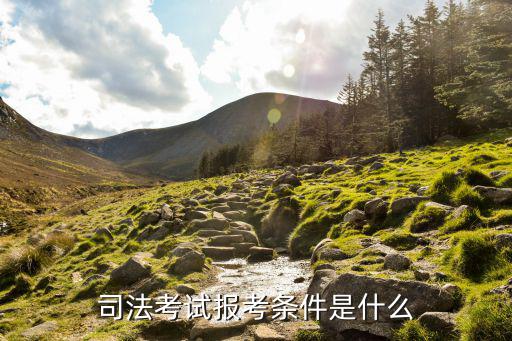 司法考試報考條件是什么