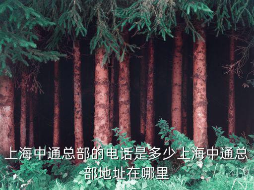上海中通總部的電話是多少上海中通總部地址在哪里