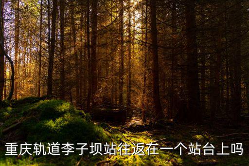 重慶軌道李子壩站往返在一個站臺上嗎