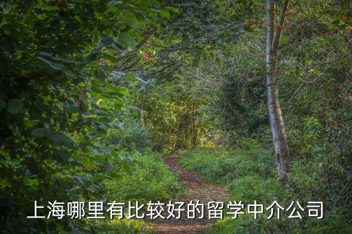 上海哪里有比較好的留學(xué)中介公司