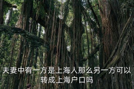 老公是新上海人老婆能落戶嗎，丈夫是上海人妻子是外地人需要辦理上海戶口落戶問(wèn)題