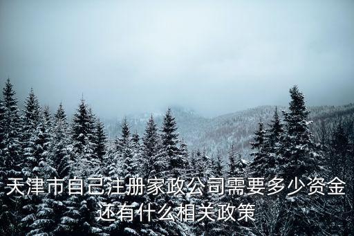 天津市自己注冊家政公司需要多少資金還有什么相關(guān)政策
