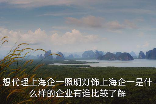 想代理上海企一照明燈飾上海企一是什么樣的企業有誰比較了解