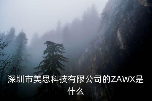 深圳市美思科技有限公司的ZAWX是什么