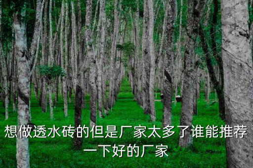 想做透水磚的但是廠家太多了誰能推薦一下好的廠家