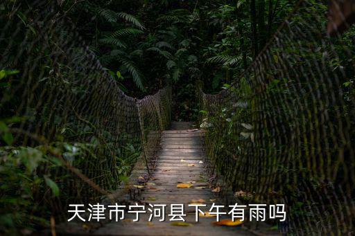 天津市寧河縣下午有雨嗎