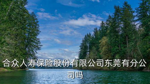 東莞合眾有限公司，合眾股份有限公司是做什么的去那兒面試有意義嗎