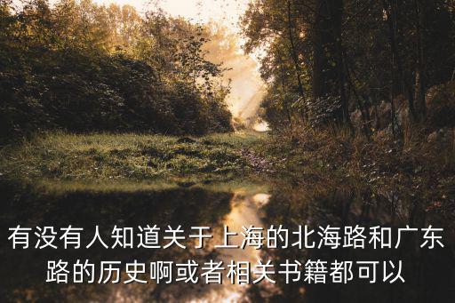 有沒有人知道關于上海的北海路和廣東路的歷史啊或者相關書籍都可以
