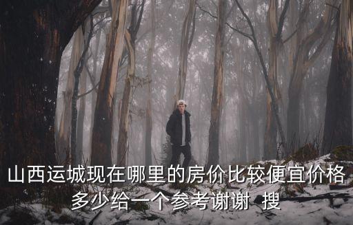 山西運城現在哪里的房價比較便宜價格多少給一個參考謝謝  搜