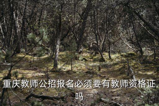 重慶教師公招報名必須要有教師資格證嗎