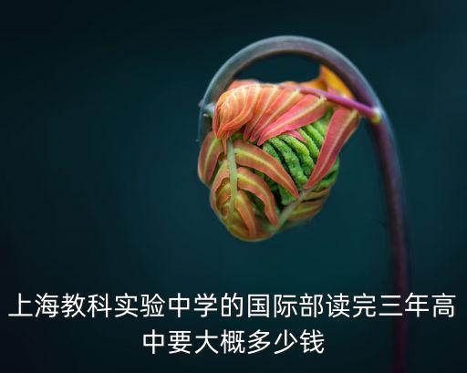 上海教科實驗中學的國際部讀完三年高中要大概多少錢