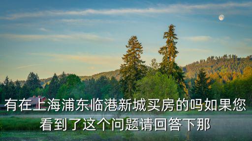 有在上海浦東臨港新城買房的嗎如果您看到了這個問題請回答下那