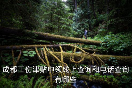 成都工傷津貼申領線上查詢和電話查詢有哪些