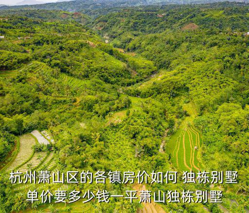 杭州蕭山區的各鎮房價如何 獨棟別墅單價要多少錢一平蕭山獨棟別墅