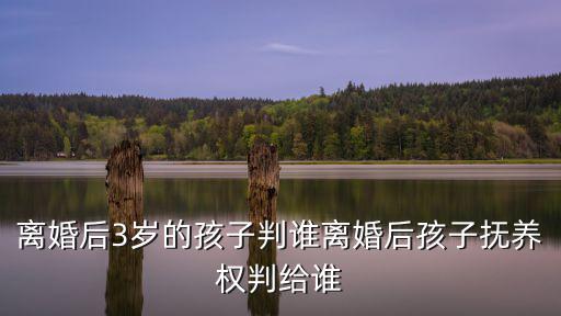 離婚后3歲的孩子判誰離婚后孩子撫養(yǎng)權(quán)判給誰