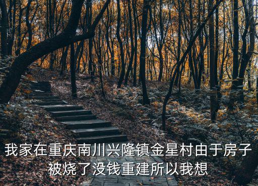 重慶市宅基地復墾225號文件，我家在重慶南川興隆鎮金星村由于房子被燒了沒錢重建所以我想