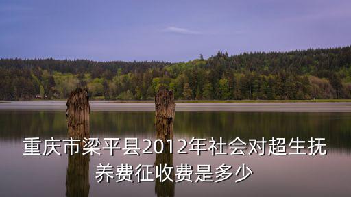 重慶市梁平縣龍門鎮花屆村三組唐豹，重慶市梁平縣2012年社會對超生撫養費征收費是多少