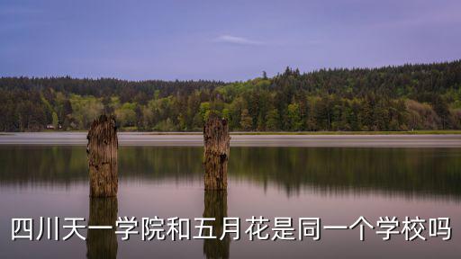 成都市五月花學校天一學校，四川天一學院和五月花是同一個學校嗎