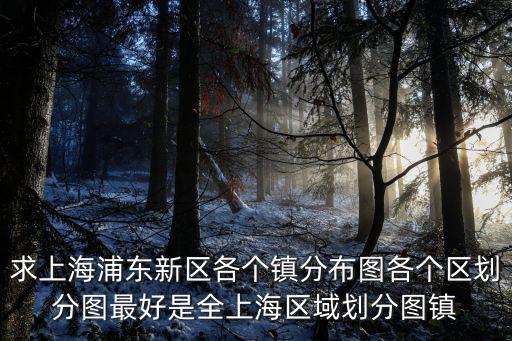 求上海浦東新區各個鎮分布圖各個區劃分圖最好是全上海區域劃分圖鎮