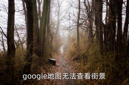 google地圖無法查看街景