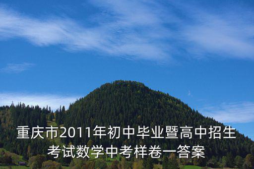 重慶市2017年初中畢業考試數學，重慶中考中數學填空題有多個答案的給分標準