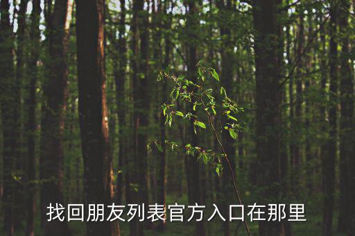 找回朋友列表官方入口在那里