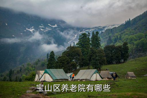 上海市海陽(yáng)敬老院，寶山區(qū)養(yǎng)老院有哪些