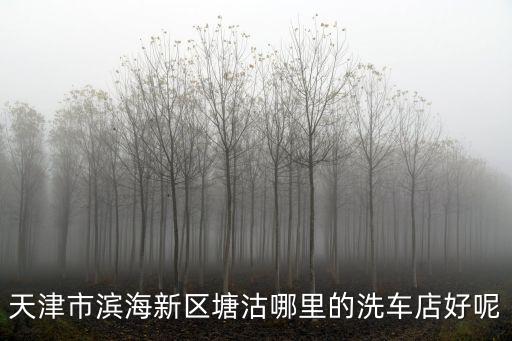天津市濱海新區塘沽哪里的洗車店好呢